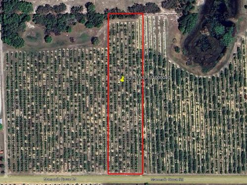 Mammoth Grove Road Lot 4 : Lake Wales : Polk County : Florida