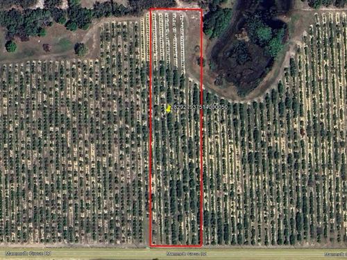Mammoth Grove Road Lot 5 : Lake Wales : Polk County : Florida