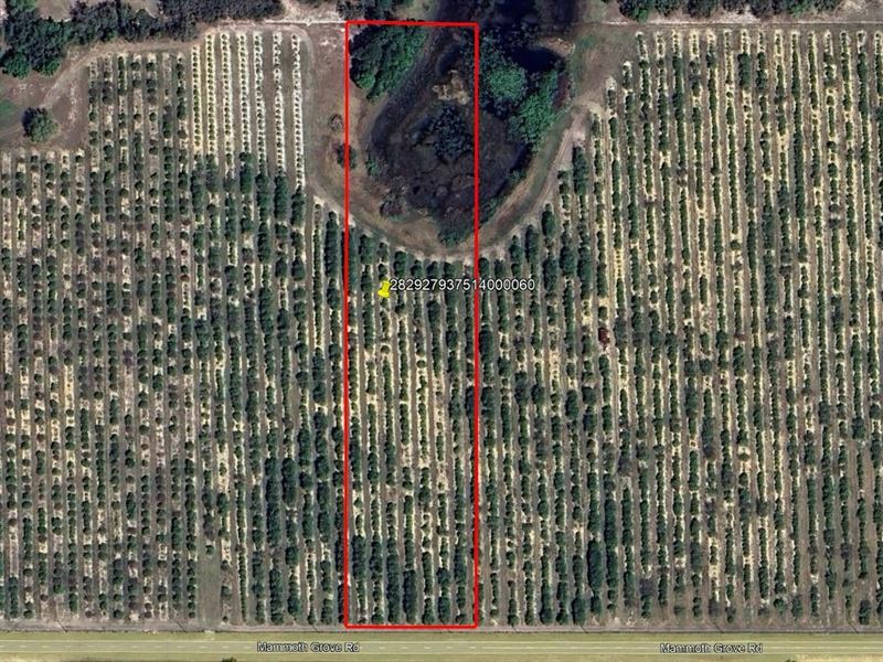 Mammoth Grove Road Lot 6 : Lake Wales : Polk County : Florida