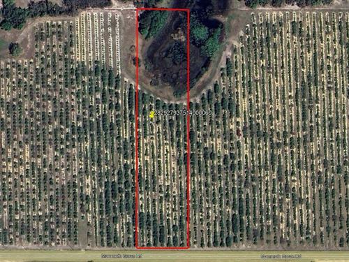 Mammoth Grove Road Lot 6 : Lake Wales : Polk County : Florida