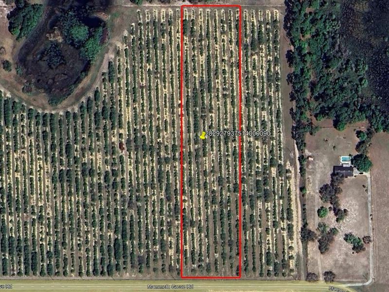 Mammoth Grove Road Lot 9 : Lake Wales : Polk County : Florida