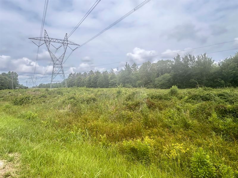 La, Richland 207 Acres : Delhi : Richland Parish : Louisiana