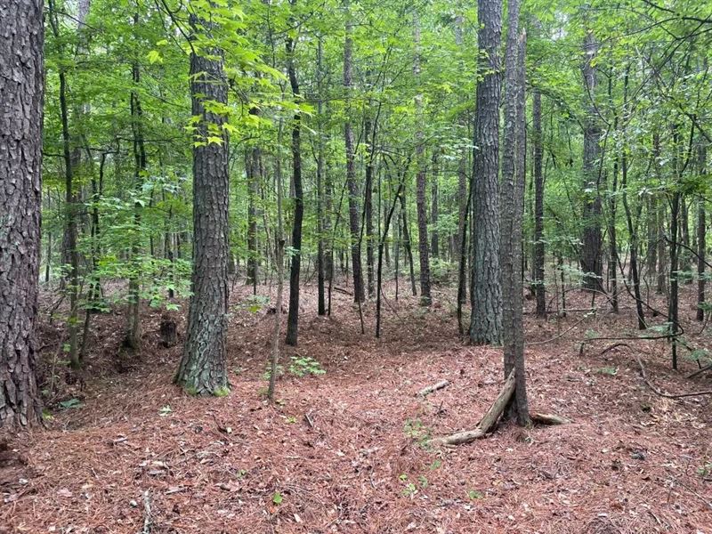 6.46 Acres, Tract 5 On Clatwor : Honea Path : Abbeville County : South Carolina