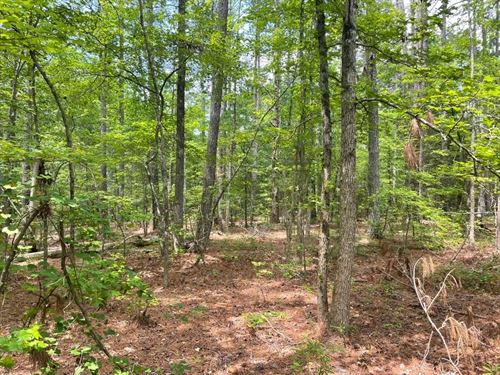 8.79 Acres, Tract 4 On Clatwor : Honea Path : Abbeville County : South Carolina