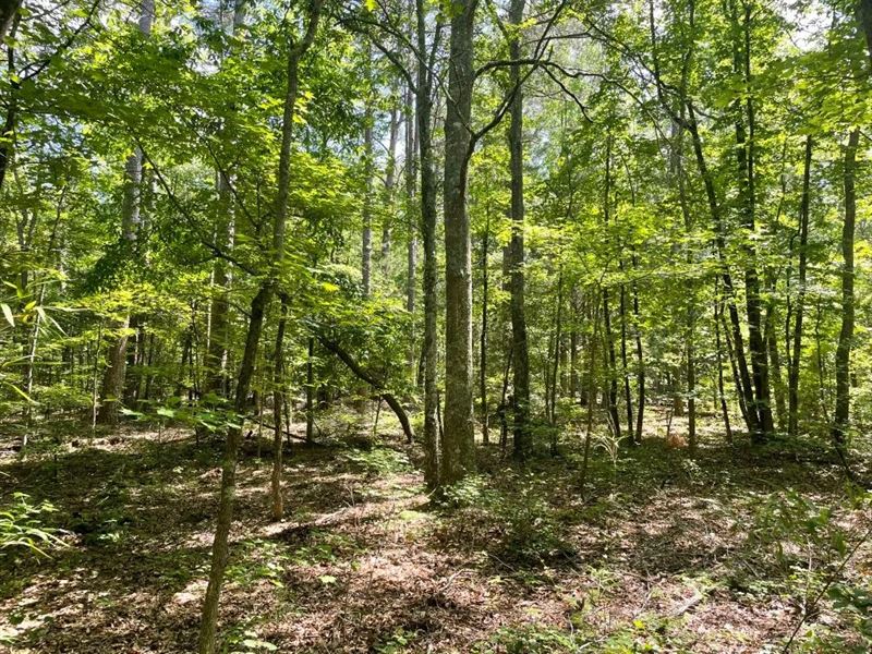 7.40 Acres, Tract 3 On Clatwort : Honea Path : Abbeville County : South Carolina
