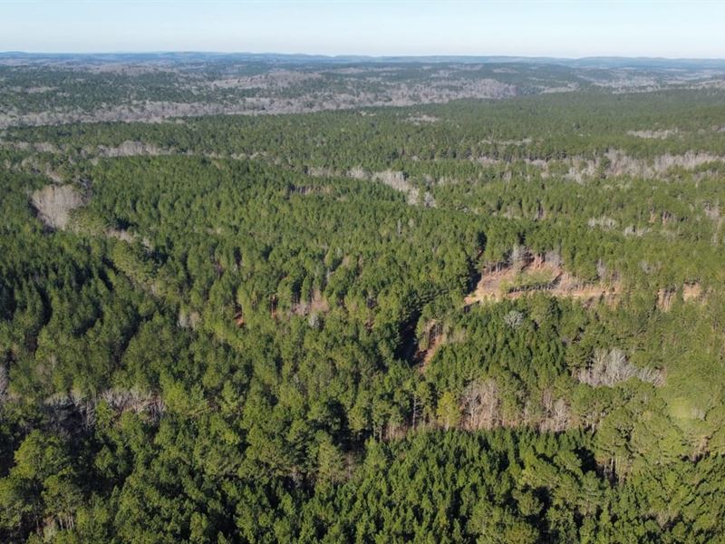 56 Acres Upson Co. GA : Thomaston : Upson County : Georgia