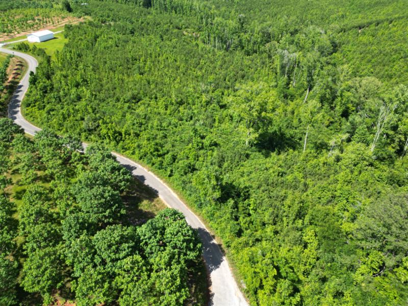 Valley Grande Berry Road North : Valley Grande : Dallas County : Alabama