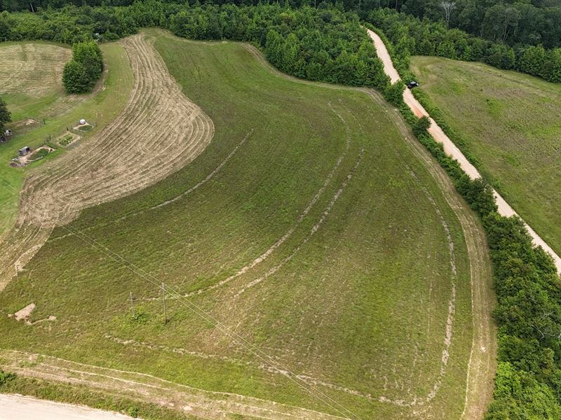 Corner Lot CR 863 Collinsville : Collinsville : Dekalb County : Alabama