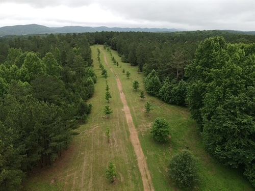 Duck Springs, Alabama Estate, 370 : Attalla : Etowah County : Alabama