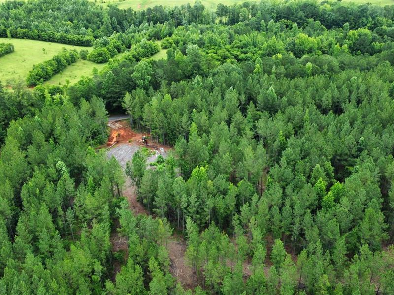 6 Acres Tallapoosa Co : Dadeville : Tallapoosa County : Alabama