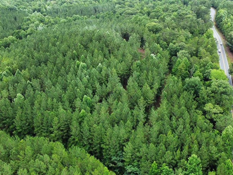 12 Acres Near Lake Martin, AL : Dadeville : Tallapoosa County : Alabama