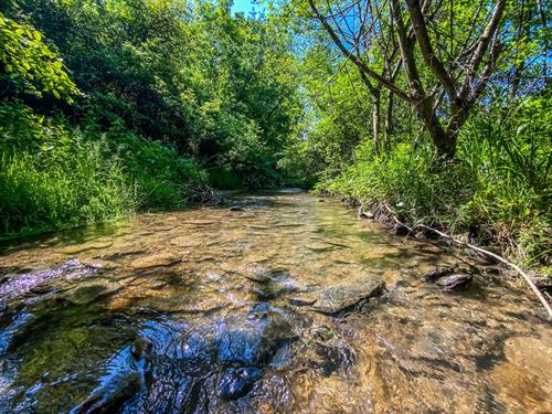 Twp Rd 472, 10 Acres : Amsterdam : Jefferson County : Ohio