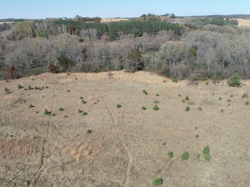 33 Acres Trempealeau County : Strum : Trempealeau County : Wisconsin