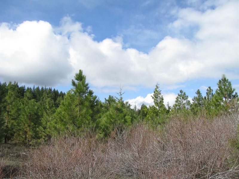 120 Acres Recreational Lot : Klamath Falls : Klamath County : Oregon