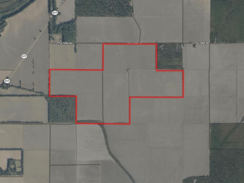 La, Madison 360 Acres : Waverly : Madison Parish : Louisiana