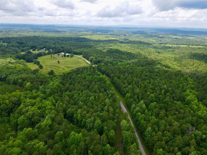 38 Acres with Homesites : Cragford : Clay County : Alabama