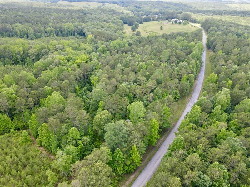 9 Acre Homesite with Utilities : Cragford : Clay County : Alabama