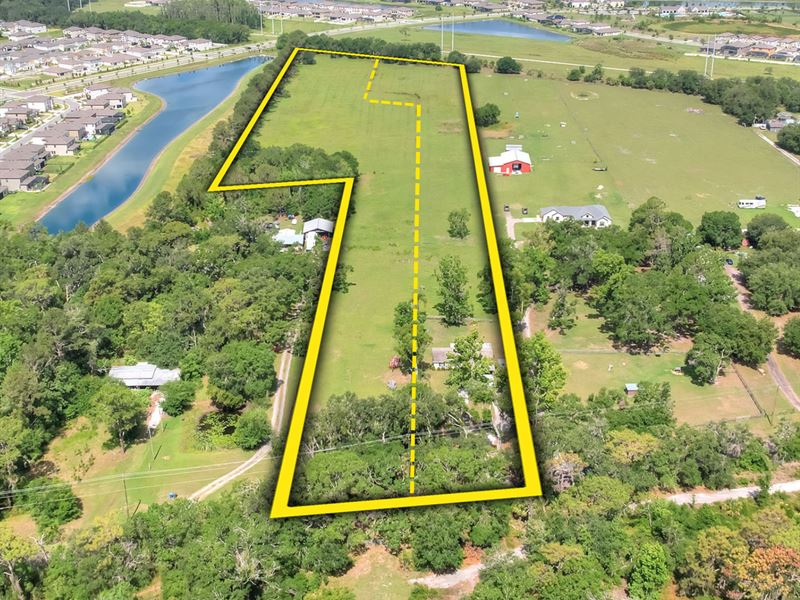 Lithia Residential Opportunity : Lithia : Hillsborough County : Florida