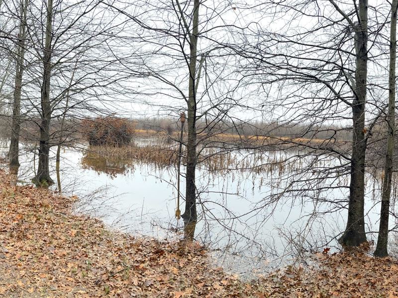 Deer and Duck Hunting Less Than : Earle : Crittenden County : Arkansas