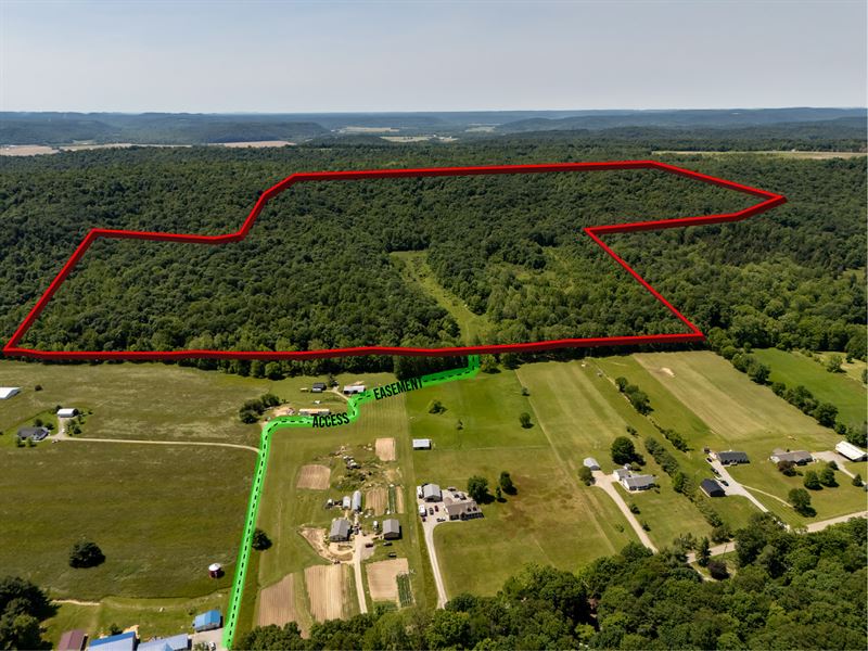 Secluded Wooded Land, Ross County : Chillicothe : Ross County : Ohio