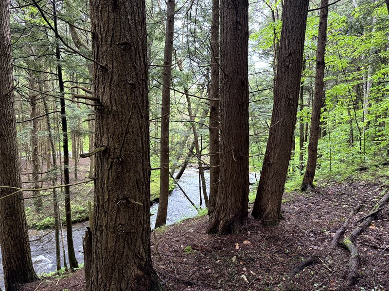 On Five Streams : German : Chenango County : New York