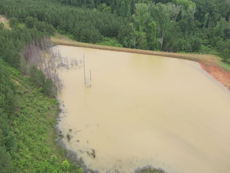 La, Union 200 Acres : Farmerville : Union Parish : Louisiana