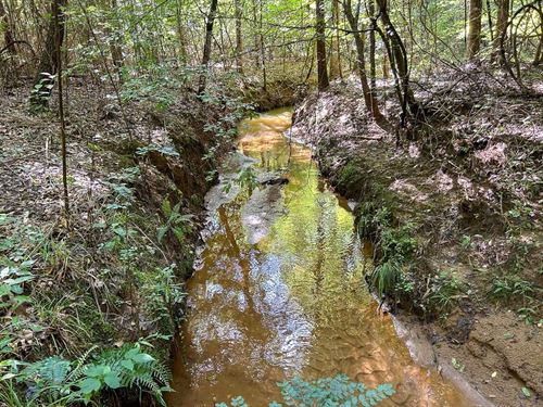 62 Acres, Highway 21 : San Augustine : Sabine County : Texas