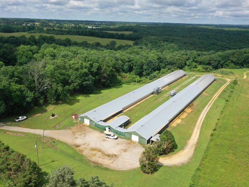 Price Reduced, Paul Breeder Farm : Hackleburg : Marion County : Alabama