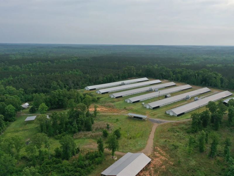 Quitman Broiler Farm : Quitman : Jackson Parish : Louisiana