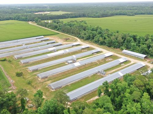Shiloh Road Broiler : Cairo : Grady County : Georgia