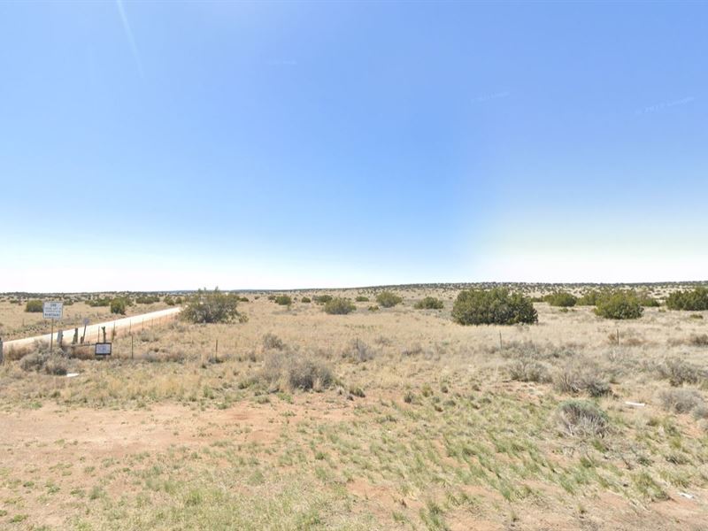5 Acres North of St Johns Arizona : Saint Johns : Apache County : Arizona