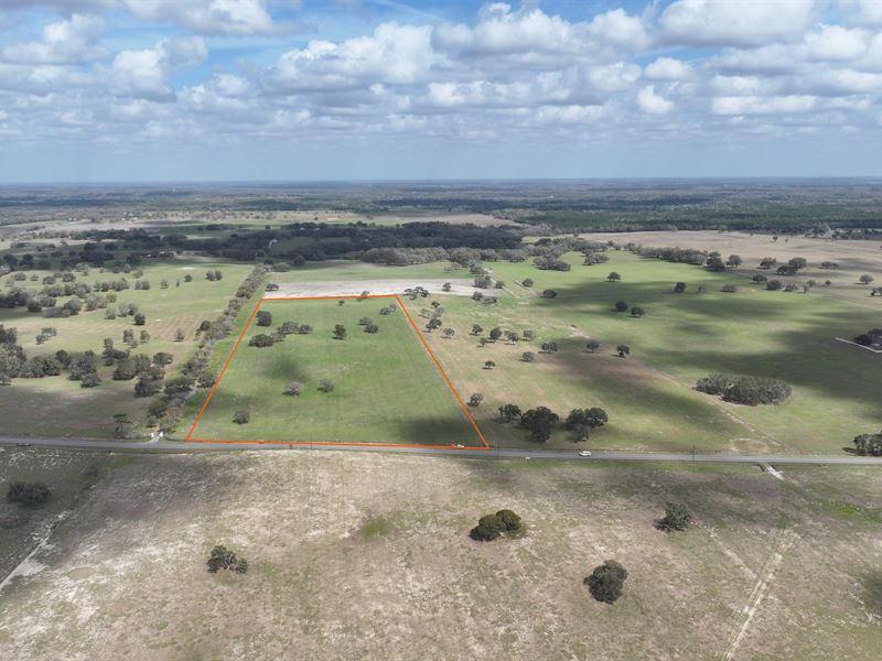46 Ac Marion County Ranchette West : Dunnellon : Marion County : Florida