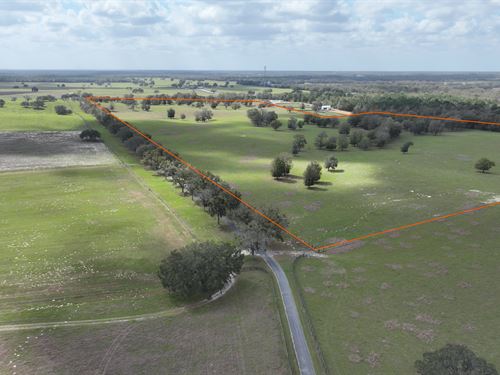 82 Acre Marion County Ranchette : Dunnellon : Marion County : Florida
