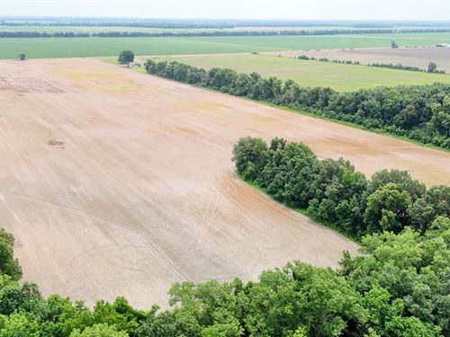 Price Drop, 53.32 Acres of Farm : Crawfordsville : Crittenden County : Arkansas