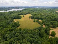 41 Acres in Limestone County : Rogersville : Limestone County : Alabama