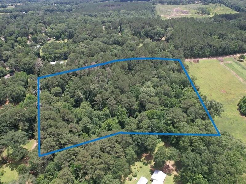 9 Acre Wooded Homesite for Sale : Summit : Lincoln County : Mississippi