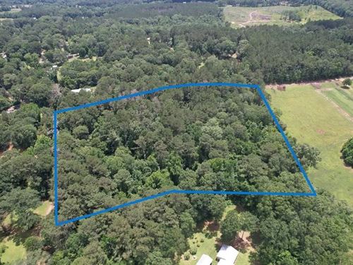9 Acre Wooded Homesite For Sale : Summit : Lincoln County : Mississippi