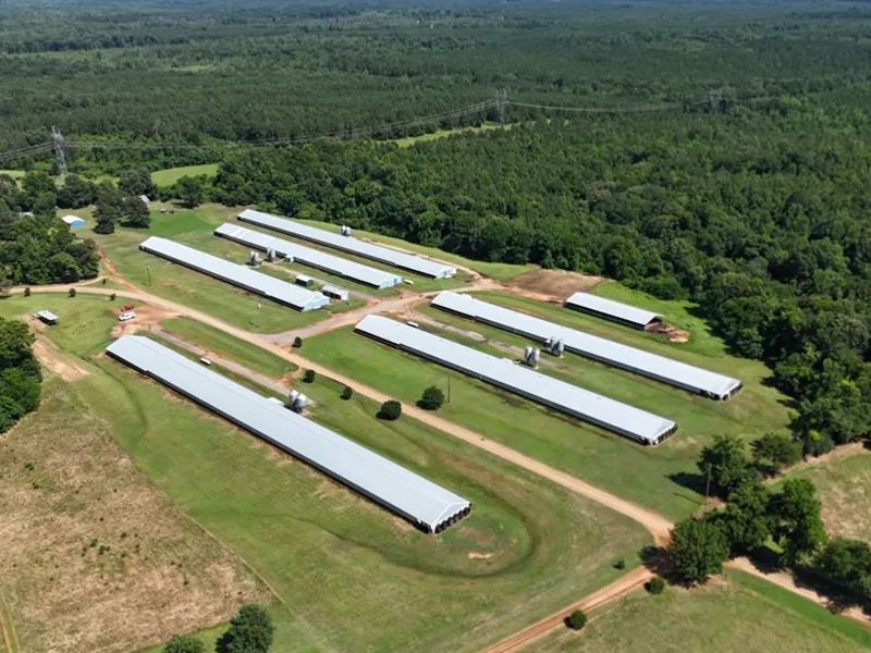 6 House Broiler Poultry Farm Dubach : Dubach : Union Parish : Louisiana