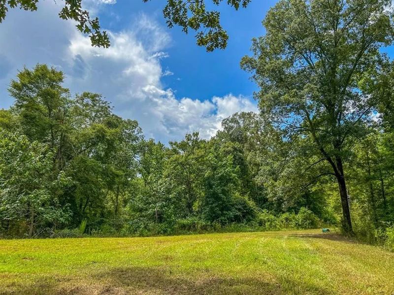 Hunting Land for Sale in Hinds Coun : Utica : Hinds County : Mississippi