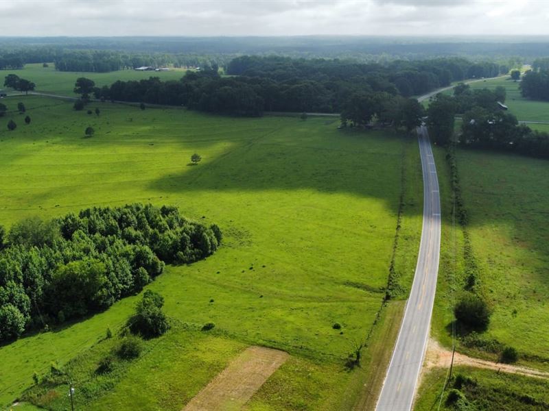 25 Acres Notasulga, AL : Notasulga : Macon County : Alabama