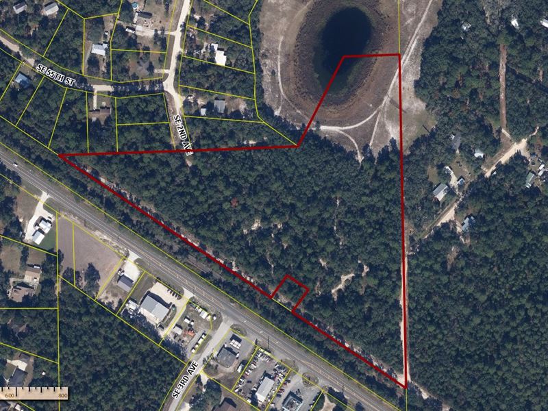Exceptional 9.85 Acre Property : Keystone Heights : Bradford County : Florida