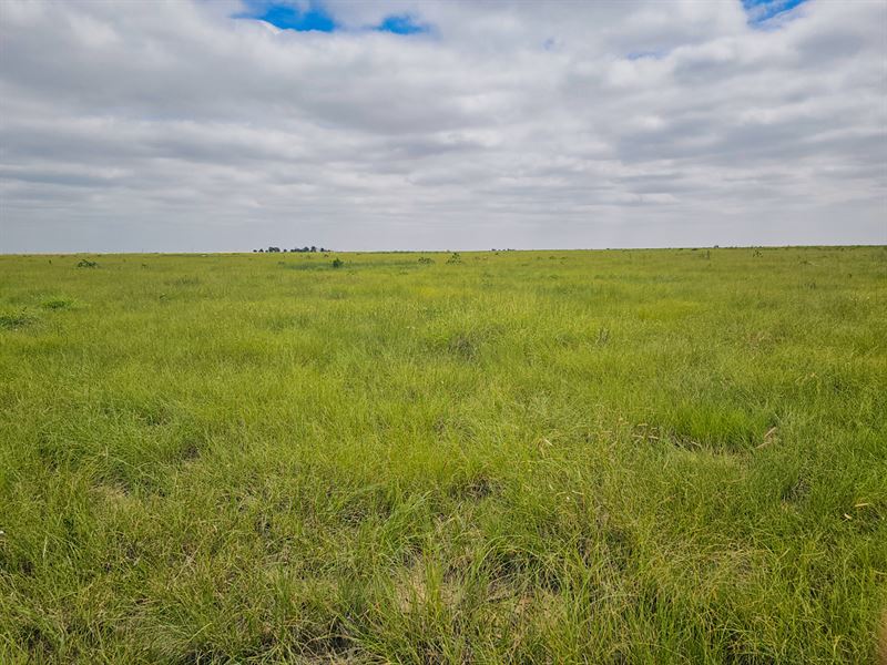 600 Acre Crp Farm for Sale : Two Buttes : Prowers County : Colorado