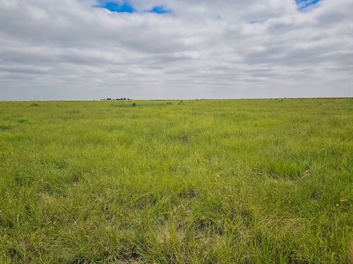 600 Acre Crp Farm for Sale : Two Buttes : Prowers County : Colorado