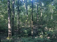 Hwy 72 East Tract 2 : Carlton : Madison County : Georgia