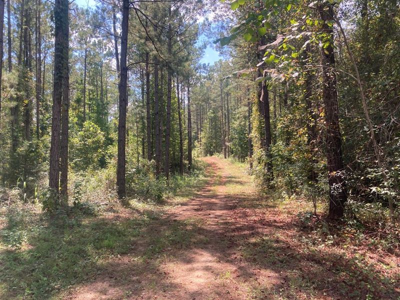 Elmore Co 169 Acres : Equality : Elmore County : Alabama