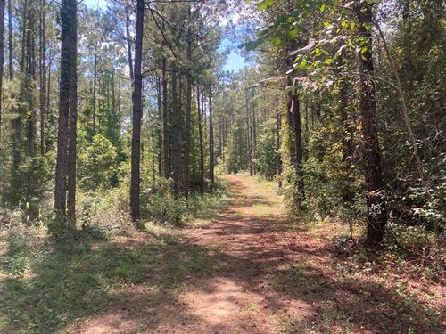 Elmore Co 169 Acres : Equality : Elmore County : Alabama