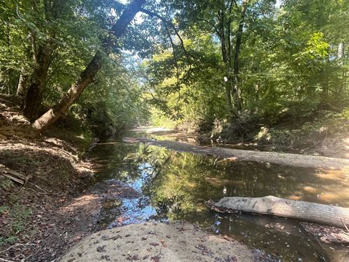 161 Acres Elmore & Coosa County : Equality : Coosa County : Alabama