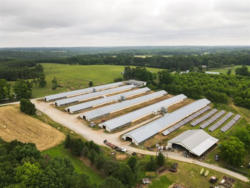 CV Broiler Farm : Vinemont : Cullman County : Alabama