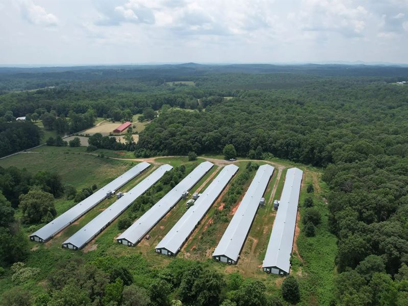 Styles Broiler Farm : Dawsonville : Dawson County : Georgia