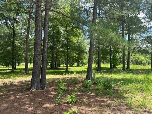 Pike Road 13.45 Acre Estate Lot : Cecil : Montgomery County : Alabama